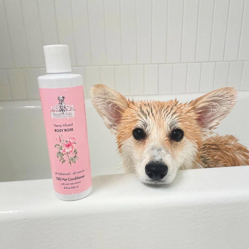 Oatmeal rose dog shampoo hotsell