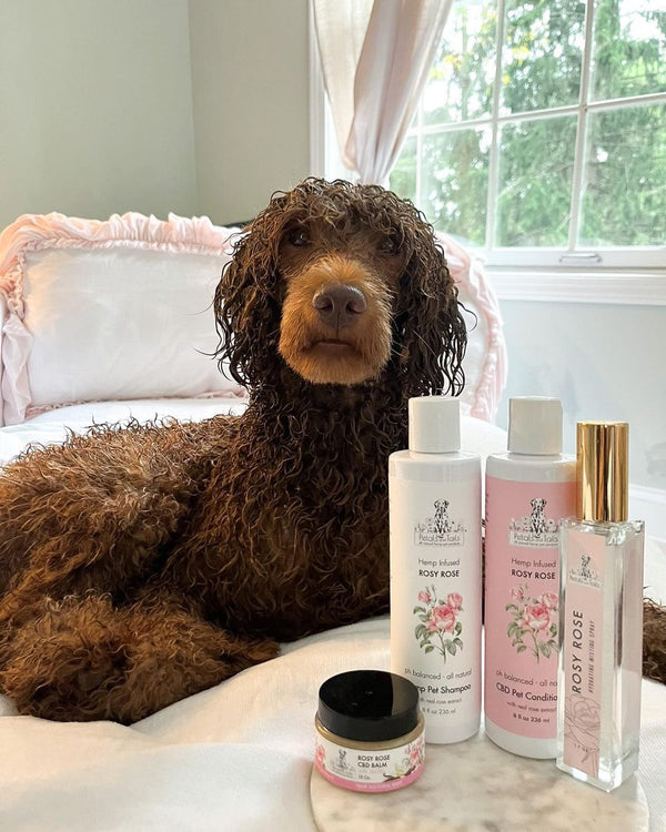 Rosy Rose CBD Pet Shampoo