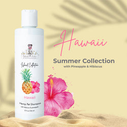 Hawaii - Hibiscus and Pineapple